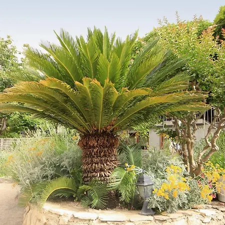 With A Parking Space Mlini, Dubrovnik - 8985 *