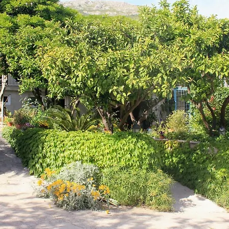 With A Parking Space Mlini, Dubrovnik - 8985 Διαμέρισμα *