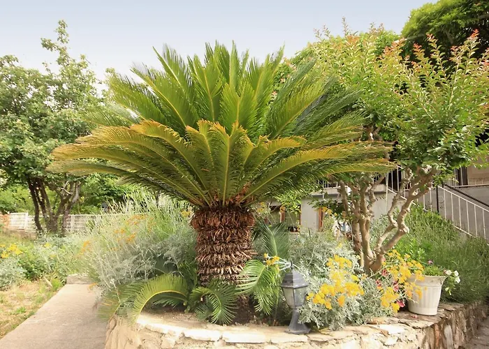 With A Parking Space Mlini, Dubrovnik - 8985 *